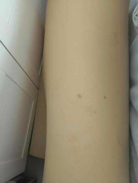 Photo of free Foam 6.5 ft x 3 ft (Princes Risborough HP27) #1