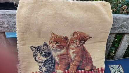 Photo of free 3 x cushion inserts 2 x cushion covers (The Nurserylands TW12) #3
