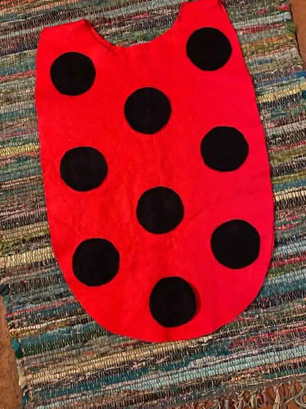 Photo of free Child’s homemade ‘Ladybird’ costume (Lightpill GL5) #1
