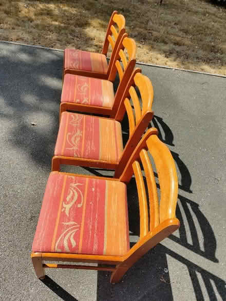 Photo of free Dining chairs (Chirk LL14) #4