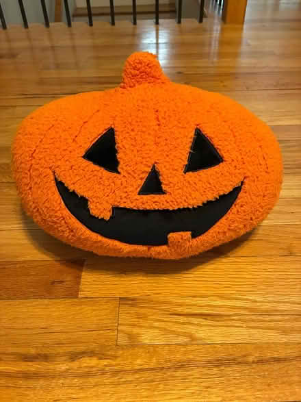 Photo of free Pumpkin throw pillow (Saugerties) #1