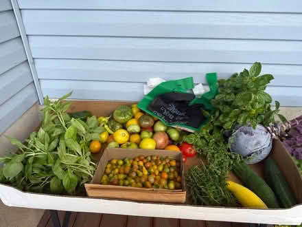 Photo of free Freshly picked organic vegetables (Fair Lawn, NJ) #2