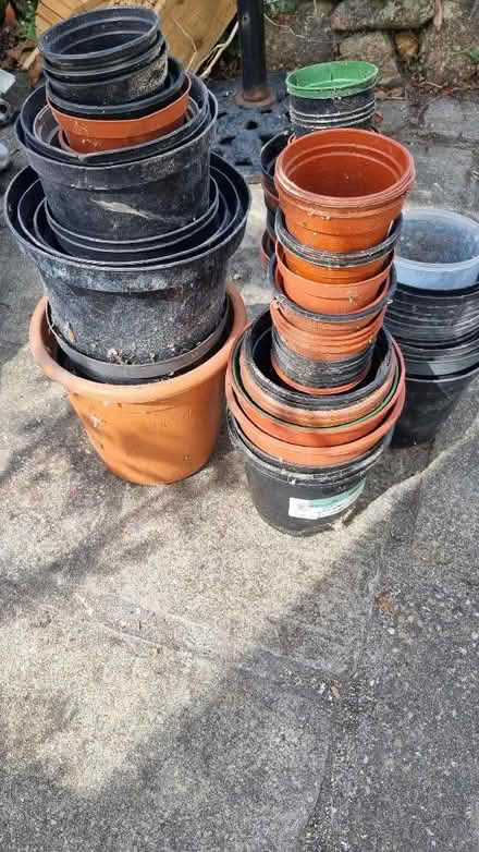 Photo of free Plant pots (Penzance TR20) #1