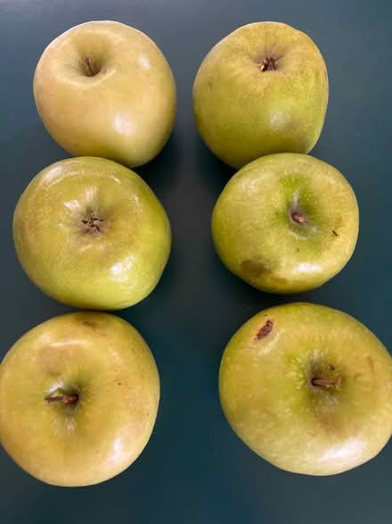 Photo of free 6 large Granny Smith apples (Lake City/Meadowbrook) #1