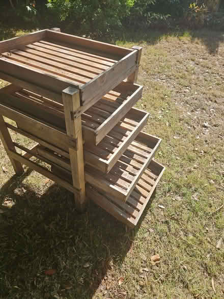 Photo of free Seed tray, (Southport PR8) #1