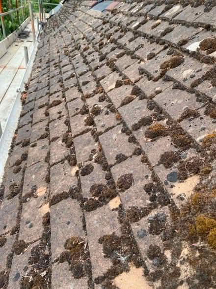 Photo of free Lots of roof tiles (OX4 Iffley) #4