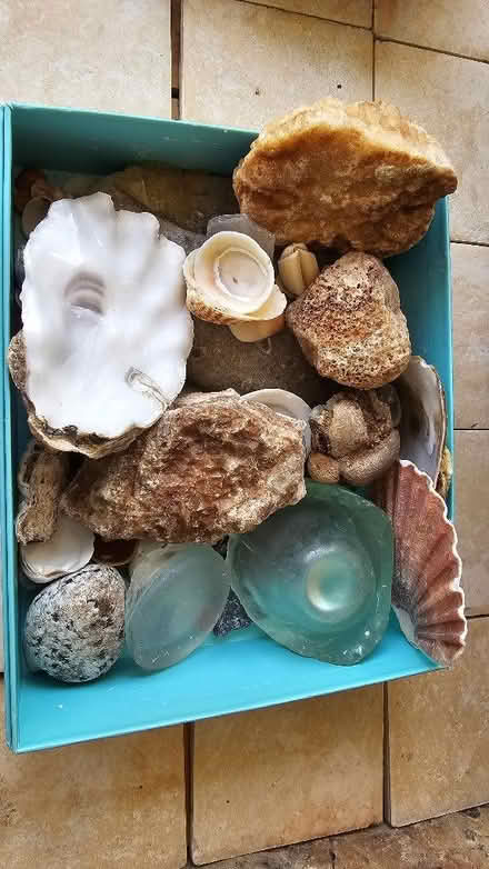 Photo of free Sea-glass, quartz, oyster - & scallops etc shells (Townsend AL3) #1
