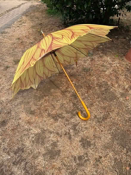 Photo of free Sunflower umbrella (Chalfont St Giles HP8) #1