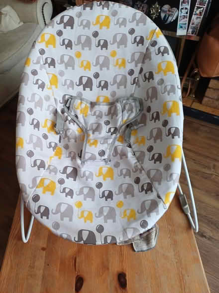Photo of free Baby seat and toiltet topper (Latchford WA4) #1