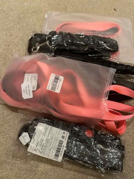 Photo of free Dog car seat belt (Leeds LS10) #1