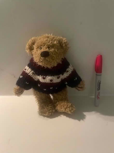 Photo of free Small Teddy bear (Bayview/highway 7) #1
