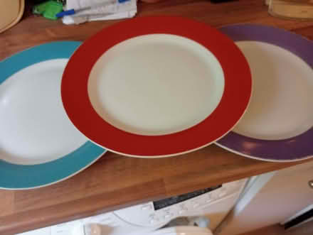 Photo of free Dinner plates (Larkhall BA1) #1