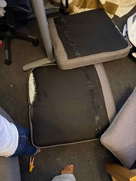 Photo of free Two seater room sofa (Mapperley NG3) #3
