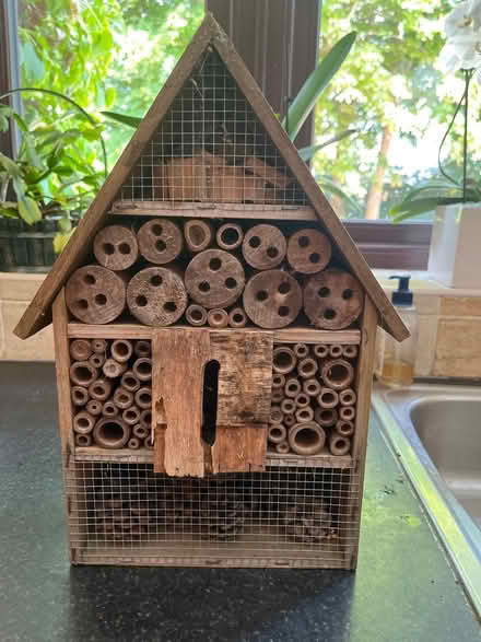 Photo of free Bug house (Sunninghill SL5) #1