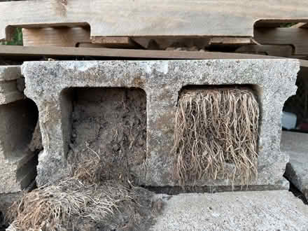Photo of free Used Cinder Blocks - w/ free dirt (Schmidt Dr. and Boughton Rd.) #2