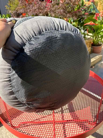 Photo of free Small dog / cat bed Scruffs (Burgess Hill RH15) #3