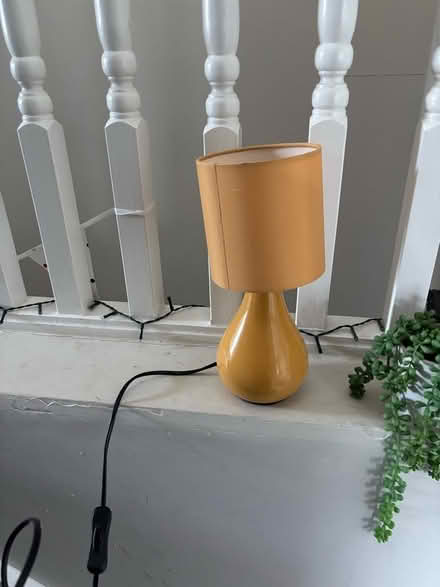 Photo of free Mustard lamp (E17 Walthamstow) #1