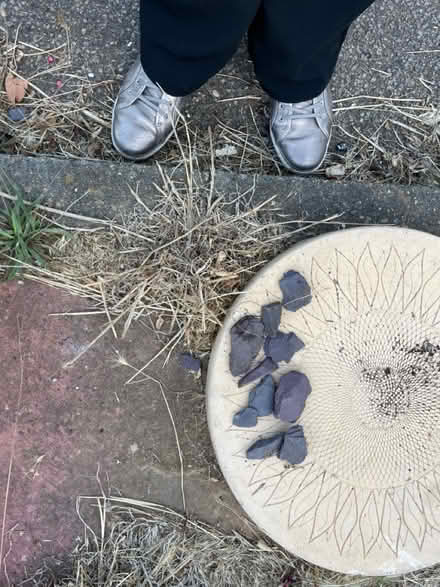 Photo of free Garden plum slates (BN25) #1