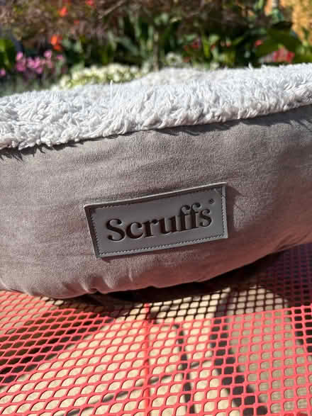Photo of free Small dog / cat bed Scruffs (Burgess Hill RH15) #2