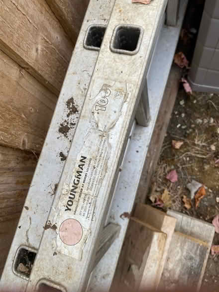 Photo of free Long ladder (Newport Pagnell MK16) #2