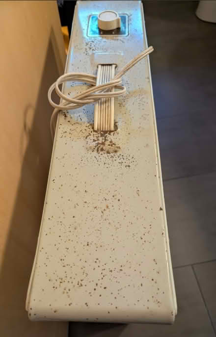 Photo of free Electric fan (Shoreline near 185th) #2