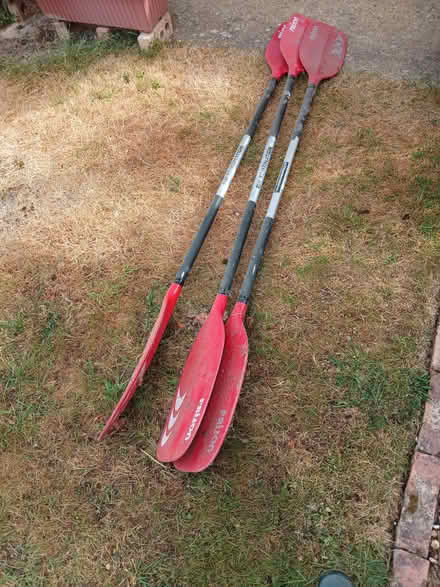 Photo of free Kayak oars (Chicksands SG17) #1