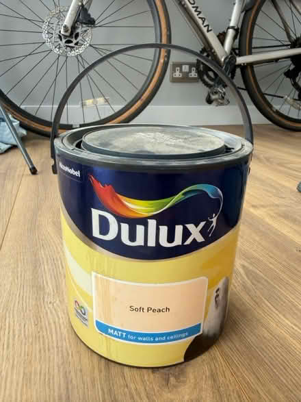 Photo of free Soft peach paint (Knoll BN3) #1
