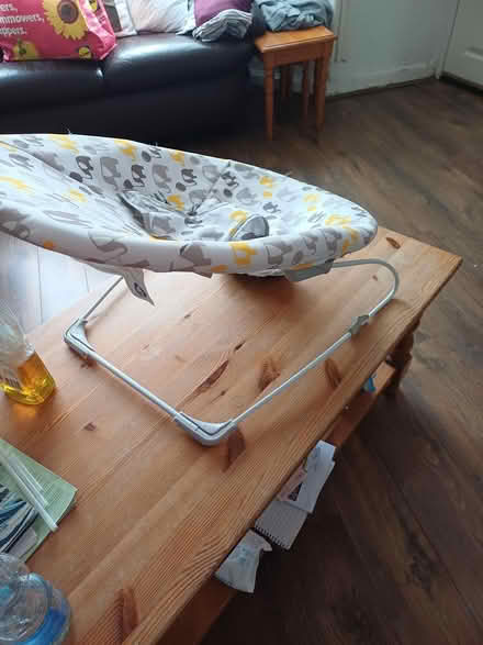 Photo of free Baby seat and toiltet topper (Latchford WA4) #2