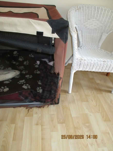 Photo of free Cheeko Foldable Pop Up Dog Crate (Wyke BD12) #2