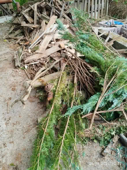 Photo of free Assorted Firewood (St Martins SY10) #1