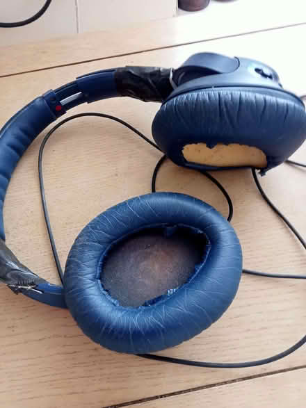 Photo of free Sony Headphones (Polegate BN26) #2