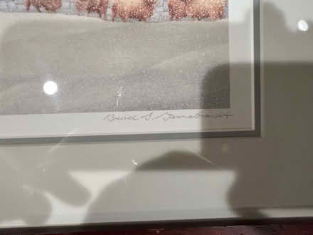 Photo of free Peaceful Sheep in the Snow Print (Owings Mills,MD) #3