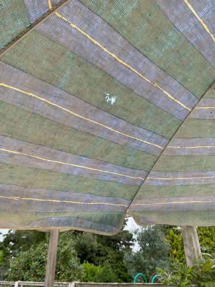 Photo of free Garden Parasol (Spital CH63) #2