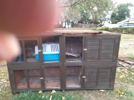 Photo of free Rabbit Hutch Large (Dodford B61) #3