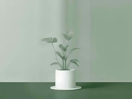 Photo of Plant stand for outside or inside (West Thornton CR7) #1