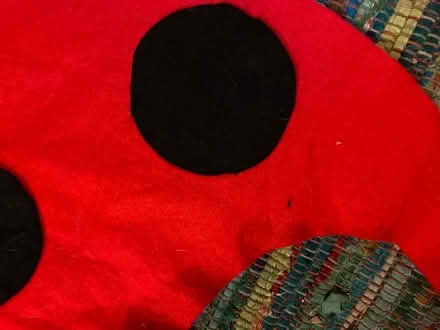Photo of free Child’s homemade ‘Ladybird’ costume (Lightpill GL5) #3