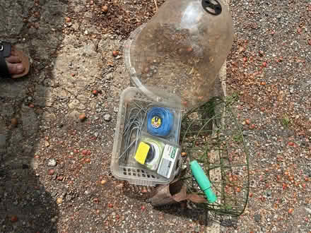 Photo of free Garden bits and bobs (Faversham ME13) #1