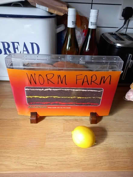 Photo of free Worm Farm (Roundhill area brighton BN2) #1