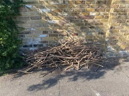 Photo of free Wood for burning (Cox Green SL6) #2