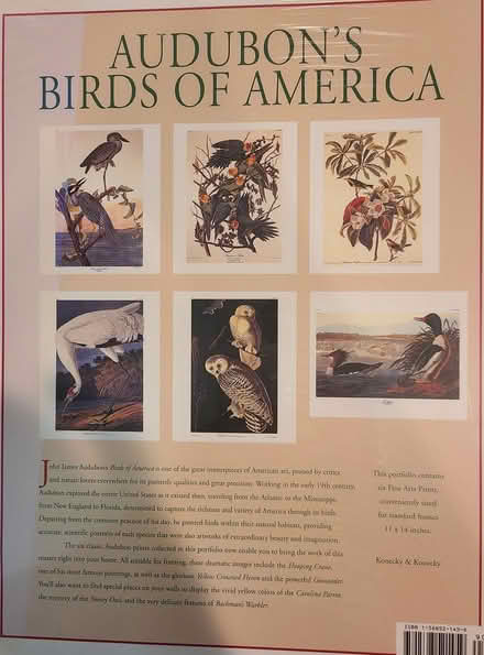 Photo of free Audubon Prints (River Falls, Potomac) #2