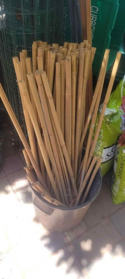 Photo of free Heavy Duty Bamboo Stakes (Hayward Hills) #1
