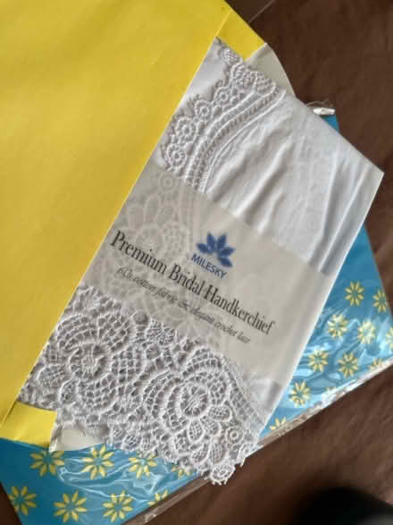 Photo of free 2 new Lace Handkerchiefs (Winter Hill) #1