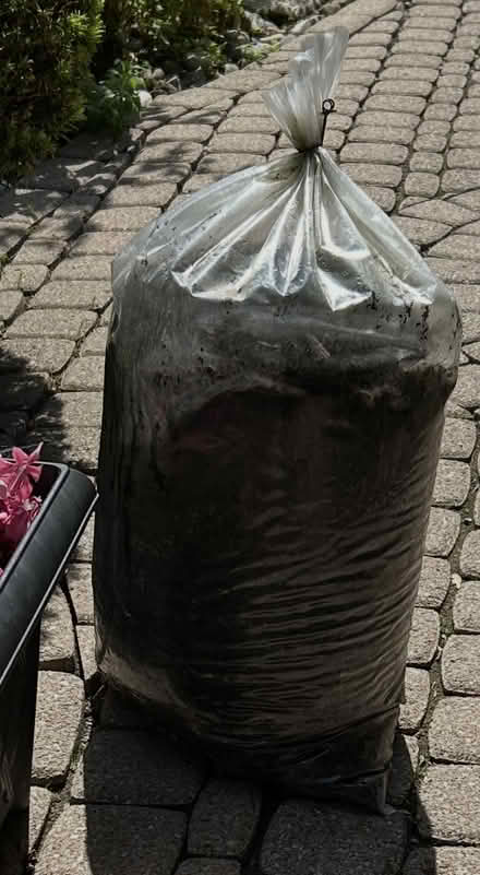 Photo of free Large Bag Top Soil (Erin Mills) #2
