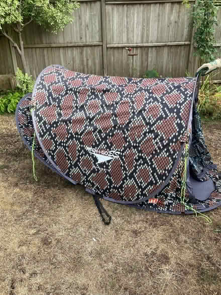 Photo of free Pop-up tent (Hinton Charterhouse BA2) #1
