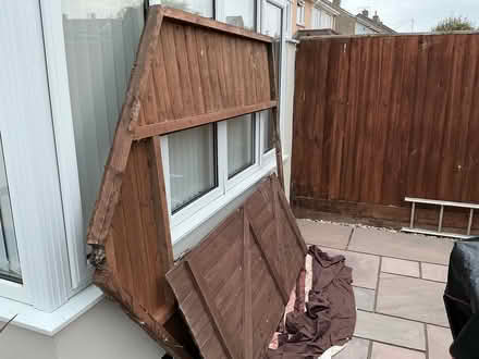 Photo of free Shed 8 x 6 (BA11 2DW) #3