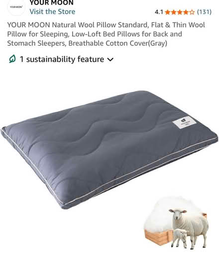 Photo of free Wool pillow (South San Jose) #1