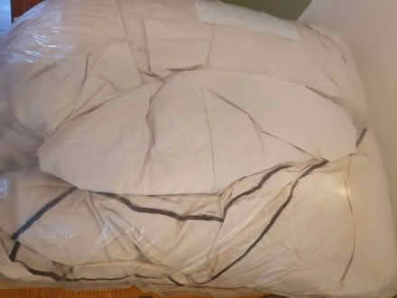 Photo of free Double duvet feather and down (Tilehurst RG31) #1