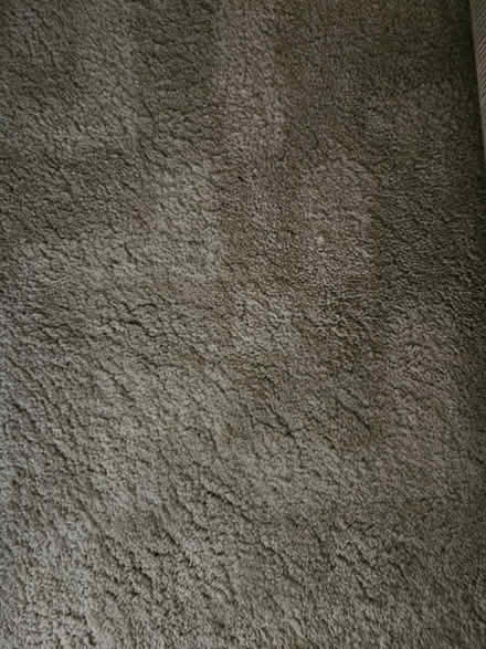Photo of free Ikea rug (Buntingford SG9) #1