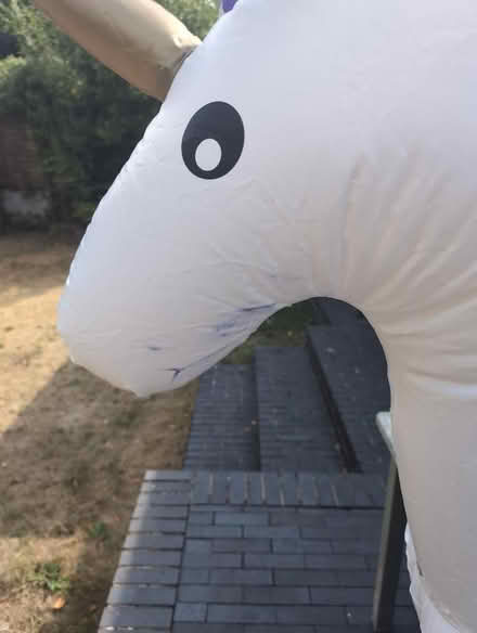 Photo of free Inflatable Unicorn (North Road BA2) #2