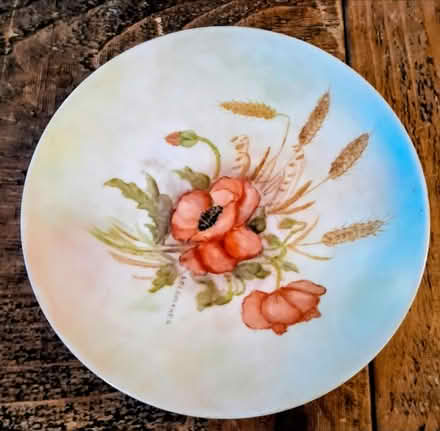Photo of free Vintage plate (Earley RG6) #1